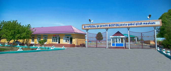 Buston PTM — копия